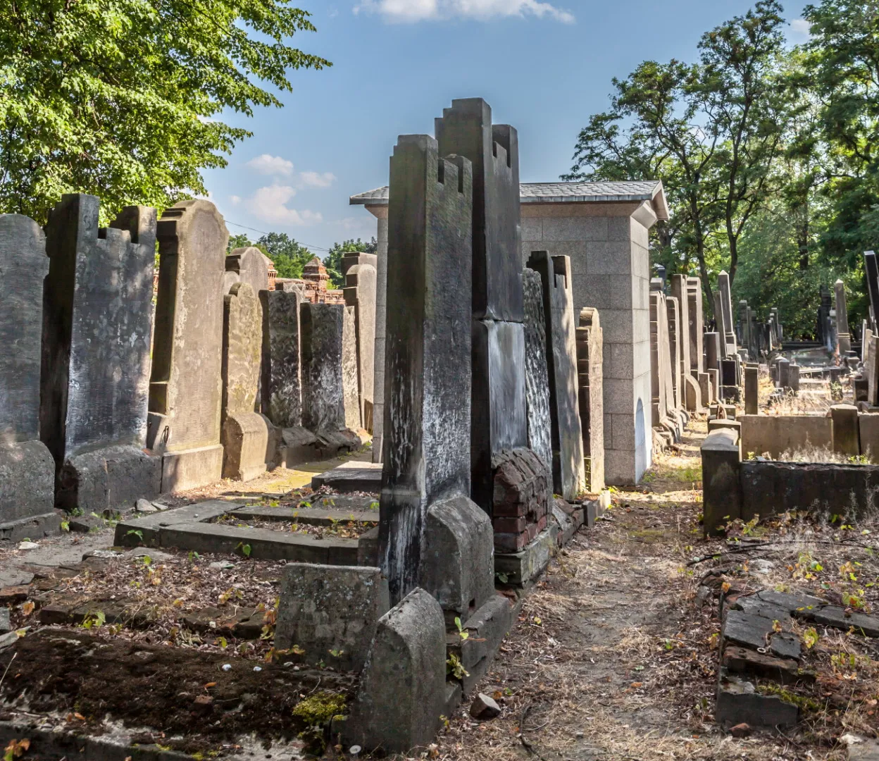 Ziemia z łódzkiego Cmentarza Żydowskiego trafi do muzeum w Luksemburgu