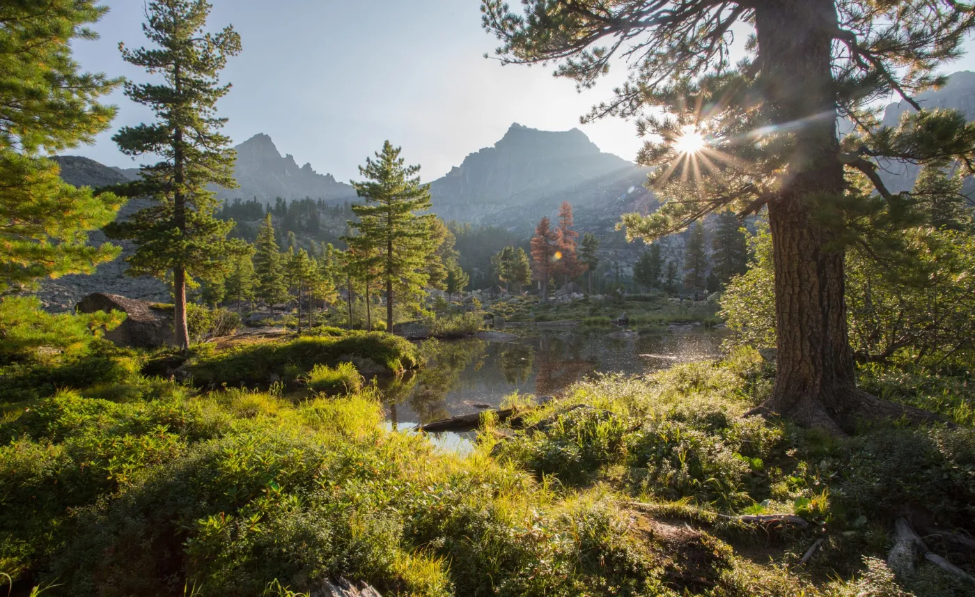 W parku narodowym na Syberii niedźwiedź zabił 16-latka