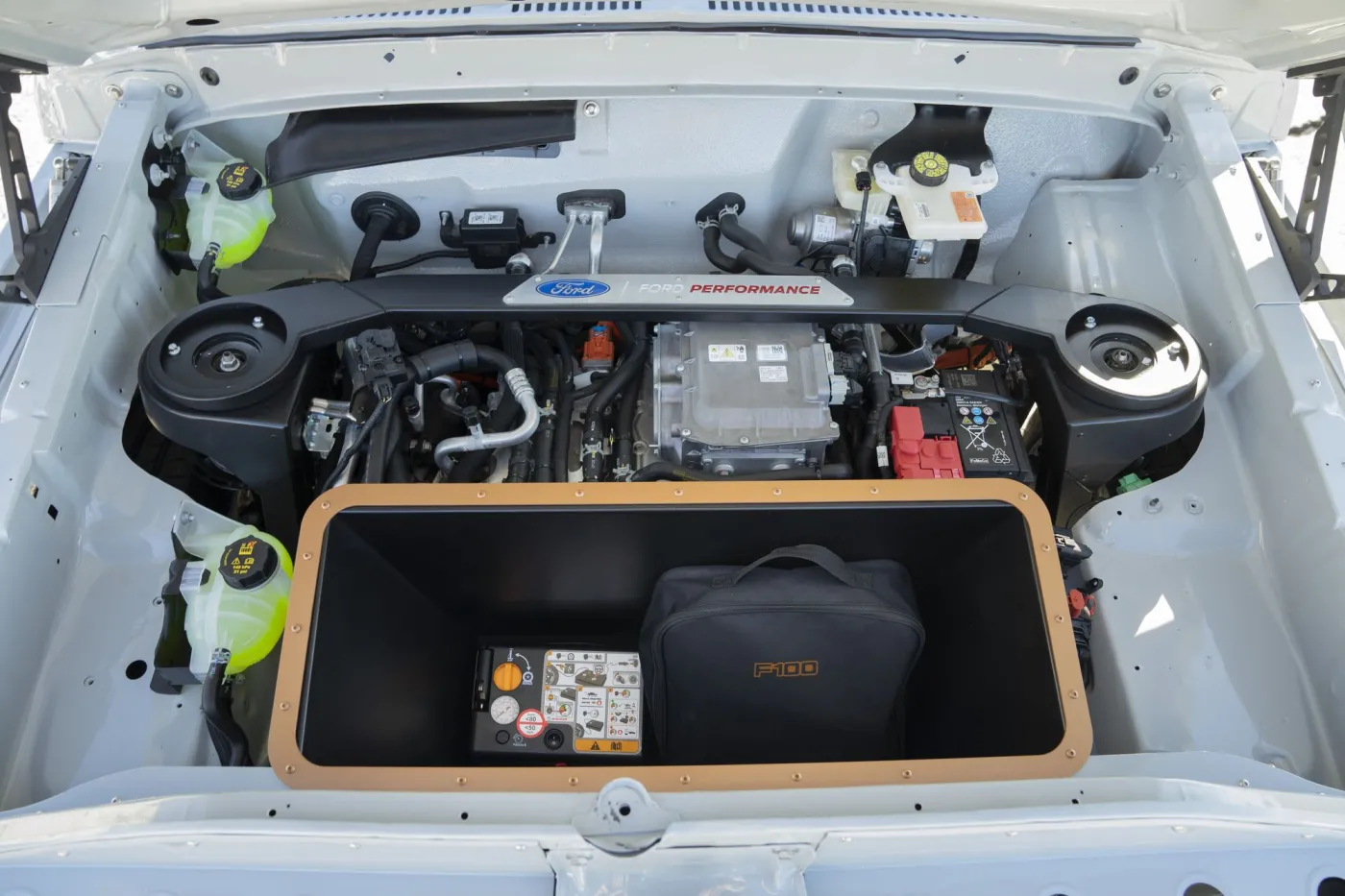 ford-f100-eluminator-37284809.jpg