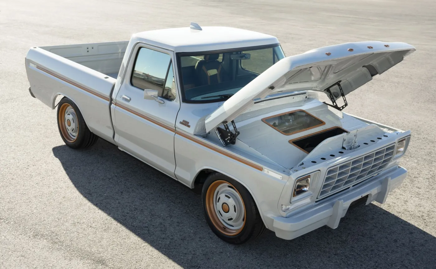 ford-f100-eluminator-37284814.jpg