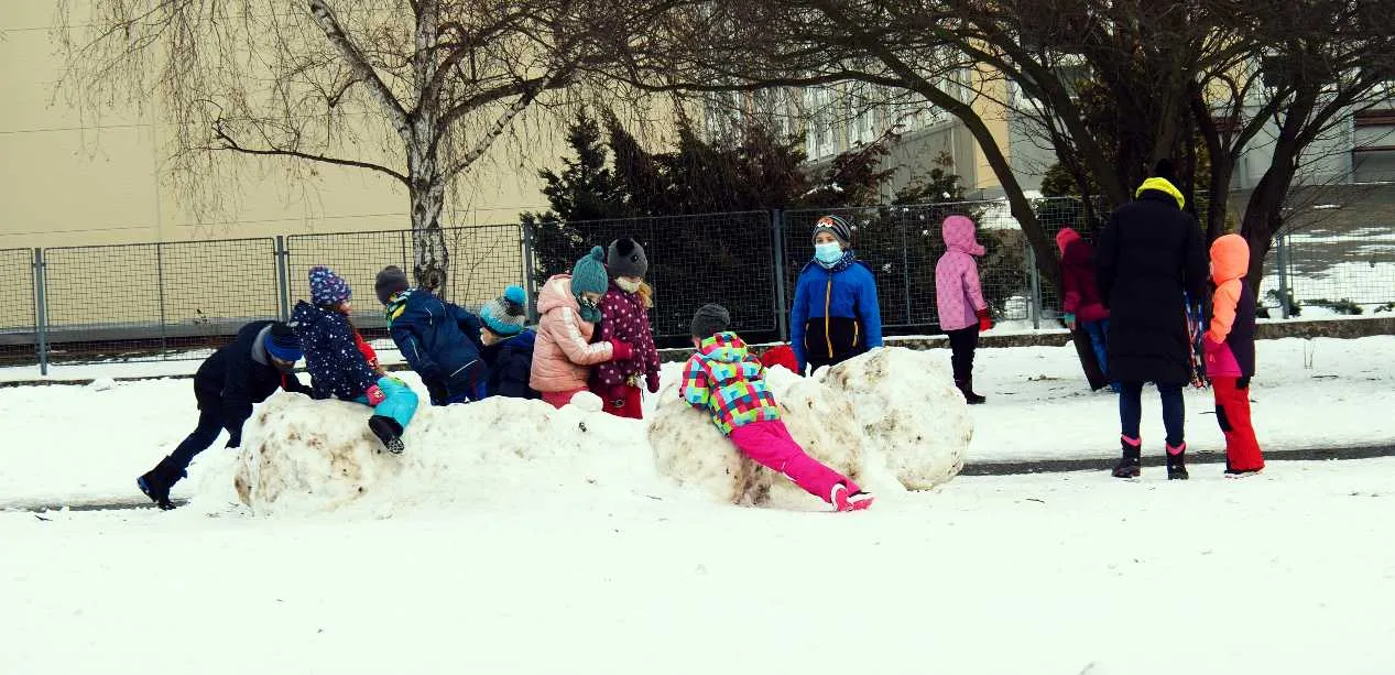 Nowe wytyczne na zimowiskach. Procedury dla organizatorów, rodziców i uczestników