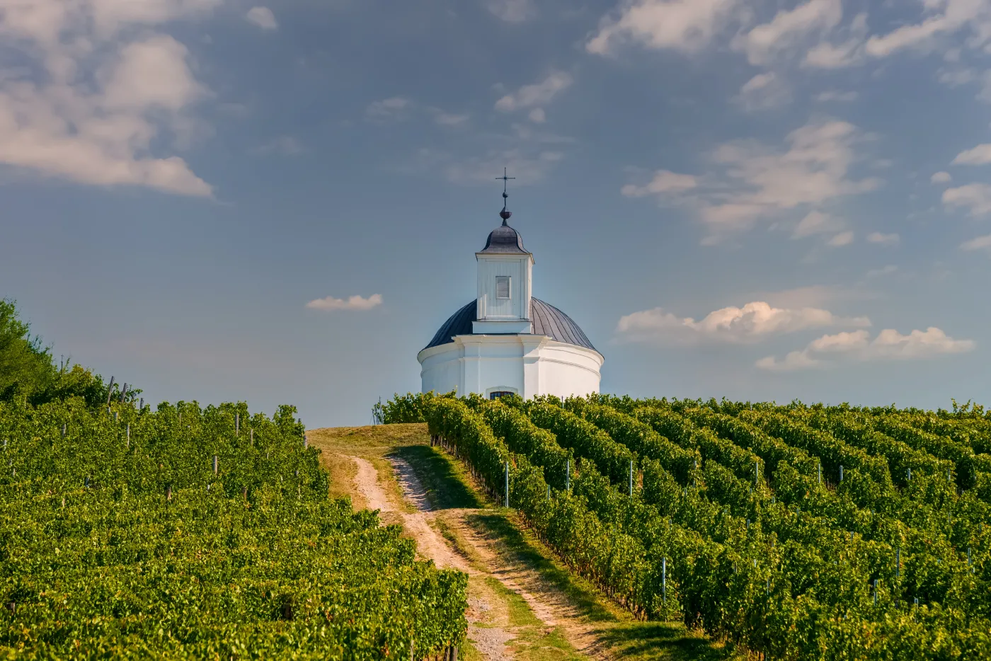 Media kpią z "pomocy Węgier" dla Ukrainy: "Wysyłają na pocieszenie wina mszalne"
