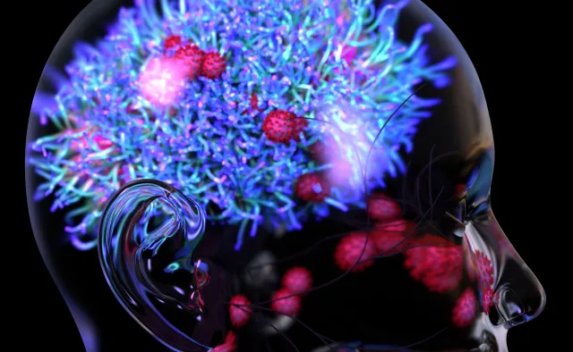 Geny pradawnych wirusów chronią mózg przed nowymi infekcjami