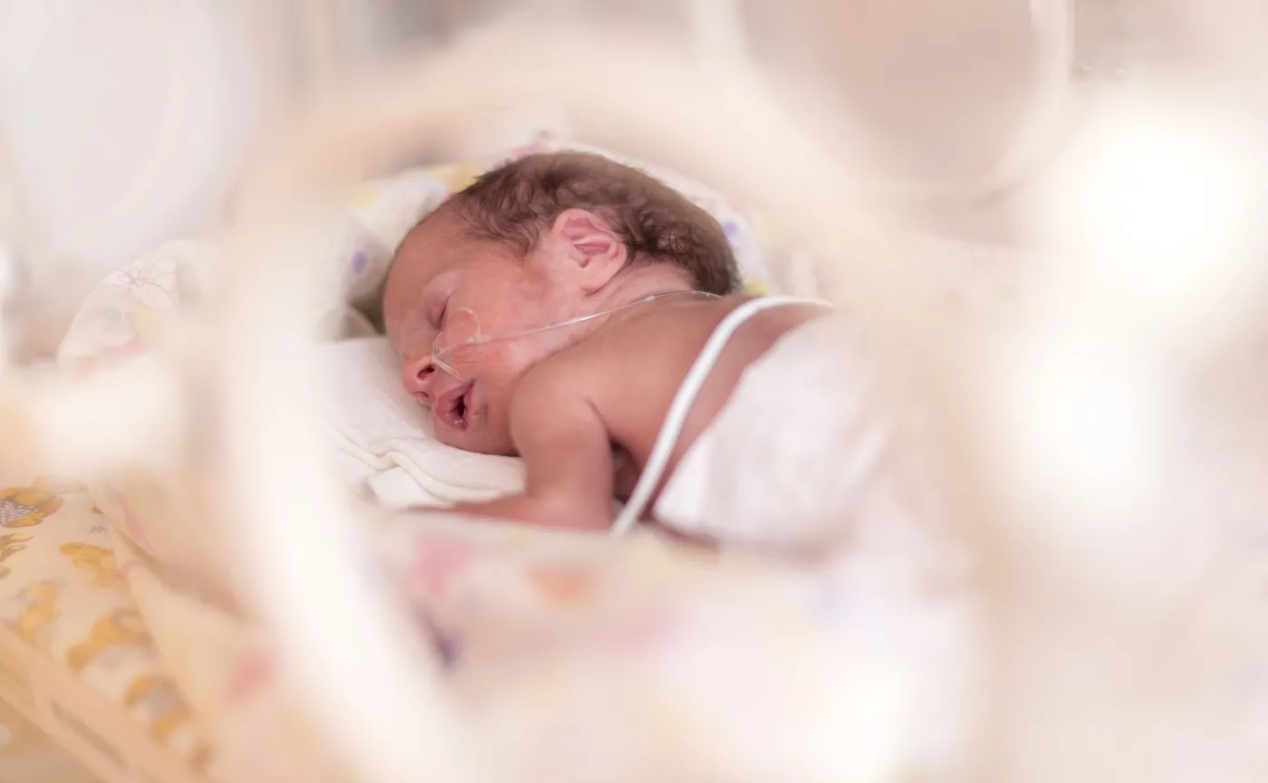 Wcześniak w inkubatorze