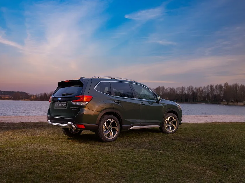 6-22forester-dsf1262-37671991.jpg