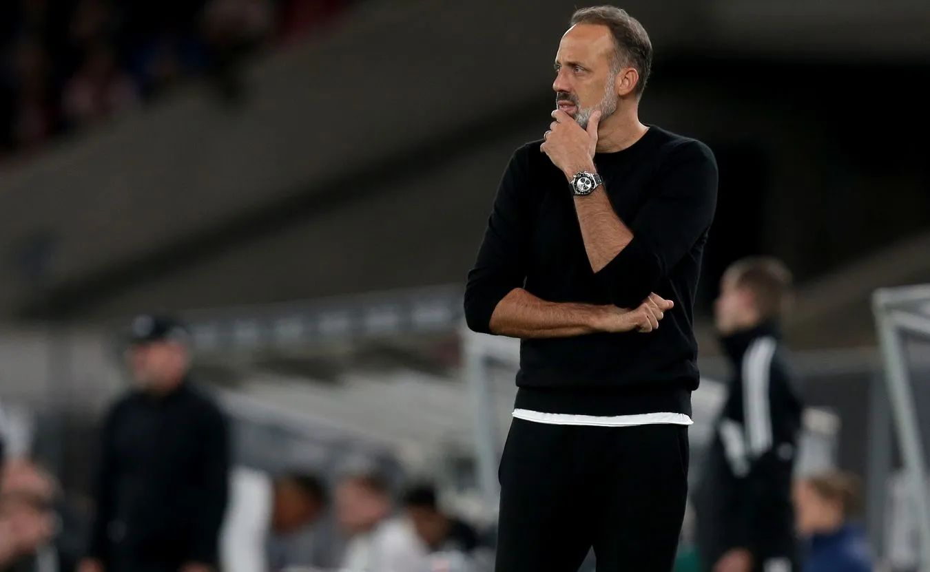 Liga niemiecka. Matarazzo nowym trenerem Hoffenheim