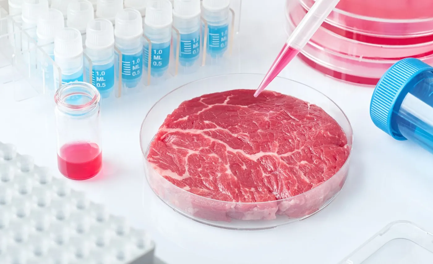 Od labu do stołu. Mięso przyszłości będzie dojrzewało w próbówce