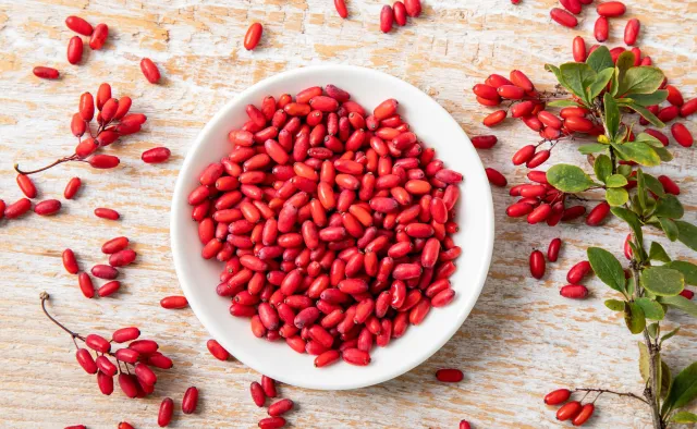 Berberys na odchudzanie. Czy warto? Jak działa berberyna?