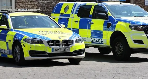 Nożownik zaatakował w centrum Dublina. "Ranne dwie osoby dorosłe i troje małych dzieci"