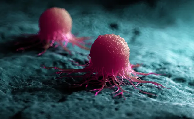 Nowa metoda rozpoznawania nowotworów. Wystarczy polizać