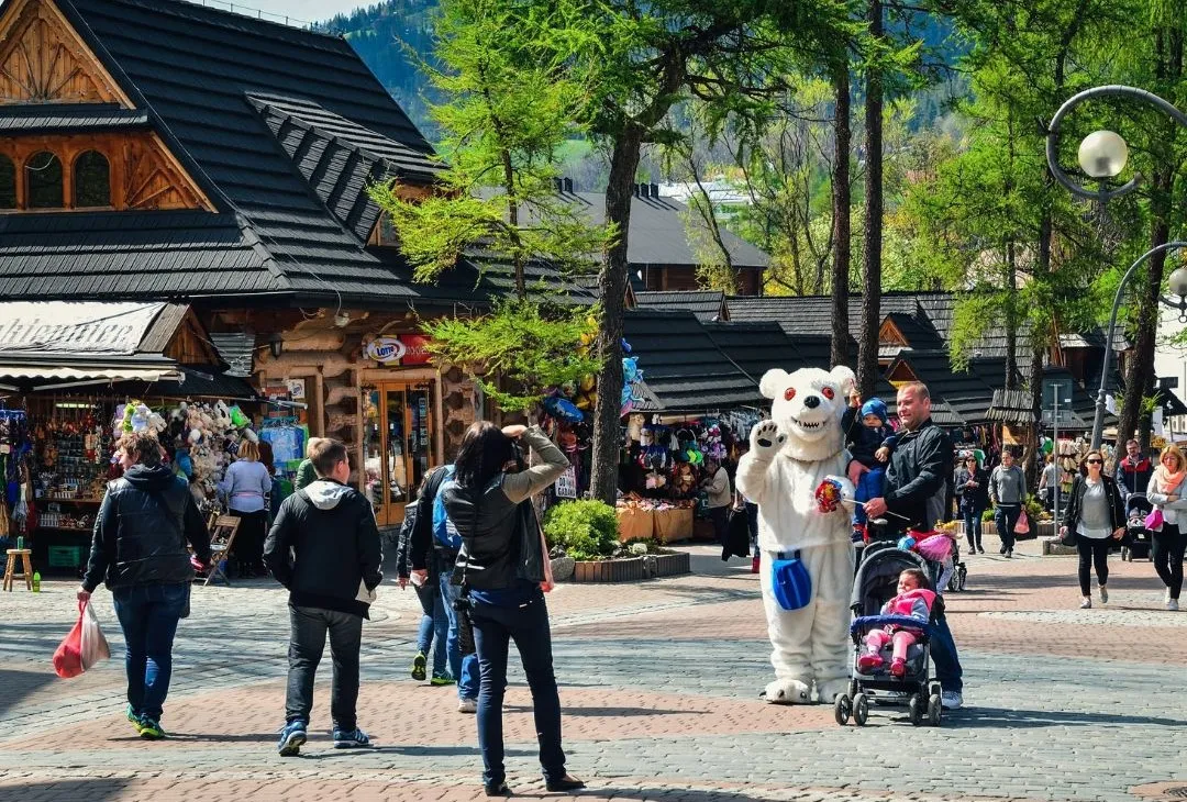 Miś z Krupówek jest uzdrowicielem