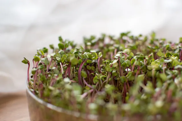 Znudziła ci się rzeżucha na wielkanocnym stole? Dwie modne alternatywy