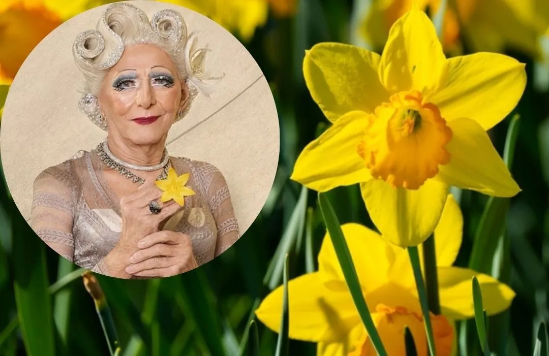 Najstarsza polska drag queen zachęca do udziału w akcji Żonkile. Ma 85 lat [FOTO]