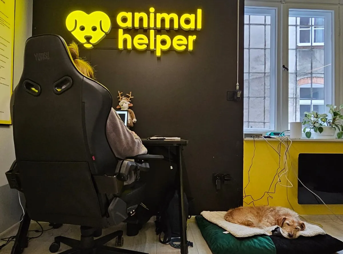 112 dla zwierząt. Aplikacja Animal Helper rusza w kolejnych województwach