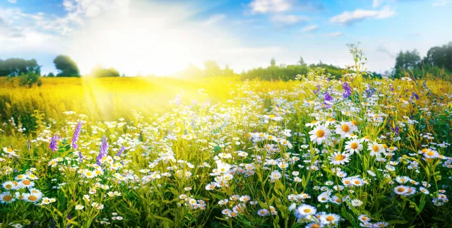 Pogoda na wakacje 2024. Takiego lata jeszcze nie było. Gdzie najcieplej? [FOTO]