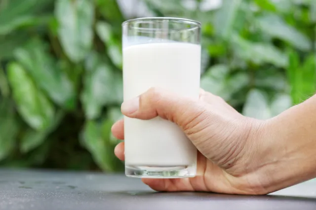 Oprysk z mleka może zdziałać cuda. Ale w ogrodzie musisz go stosować umiejętnie