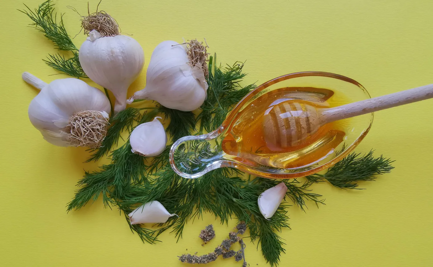 Zwalczają bakterie, zwiększają odporność i nie szkodzą jelitom. 5 naturalnych antybiotyków