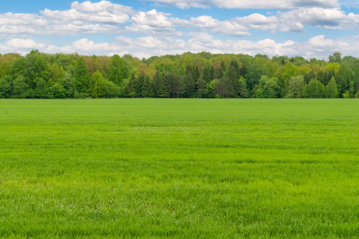 Ceny działek biją rekordy. Gdzie zapłacisz najwięcej za 1 m² w 2025?