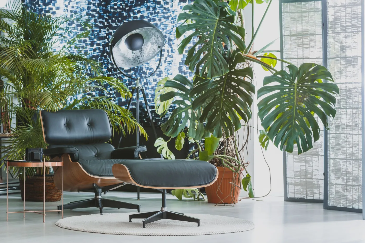 Czy Monstera oczyszcza powietrze? Te zalety sprawią, że zapragniesz mieć ją w domu. Galeria zdjęć