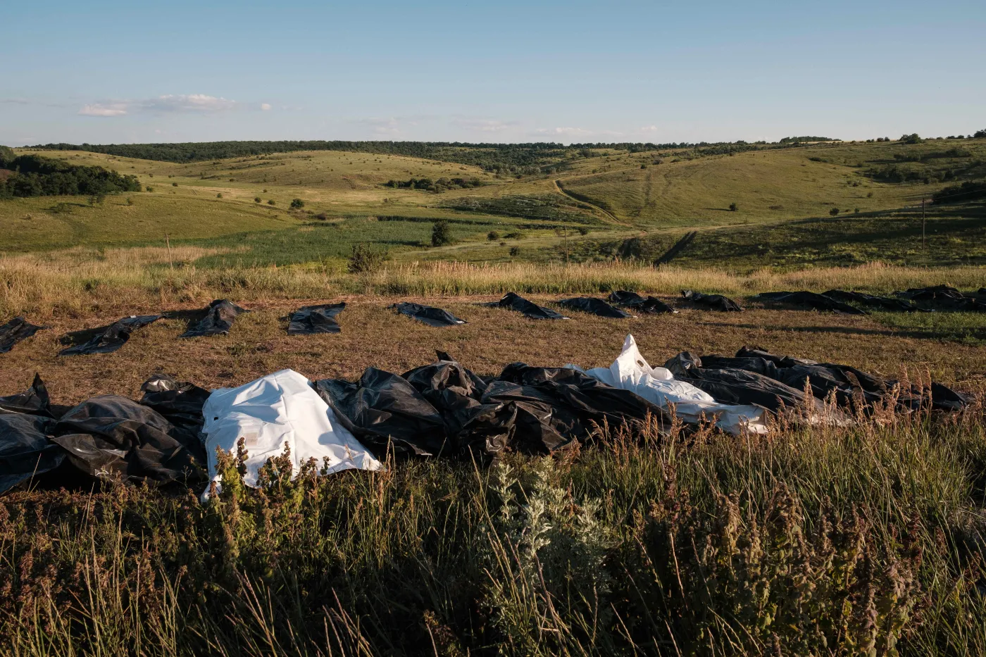 Milion zabitych i rannych Rosjan. Brytyjski wywiad ujawnia szokujące dane