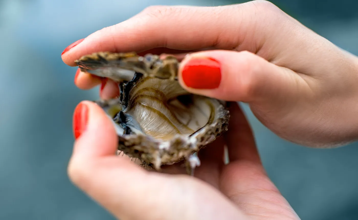 Kobieta otwiera ostrygę