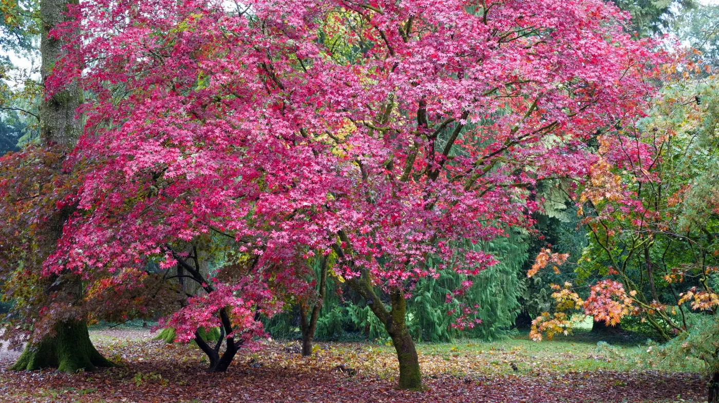 Jest ich trzy biliony. Niezwykły serial już dziś w telewizji