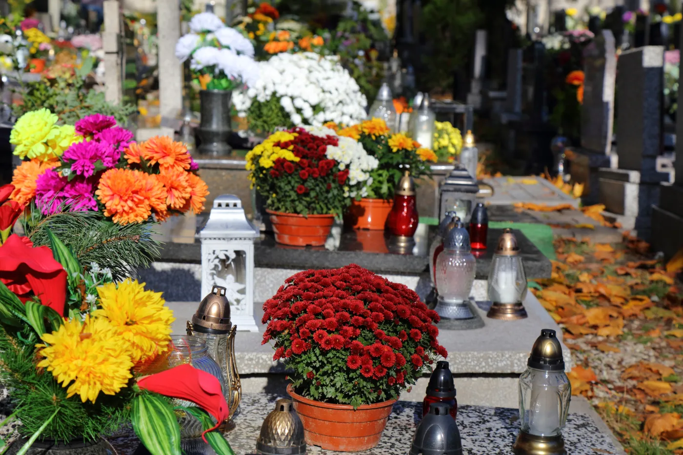 Najnowsza prognoza pogody na Wszystkich Świętych. Tego nikt się nie spodziewał! Czy wyciągniemy zimowe kurtki?