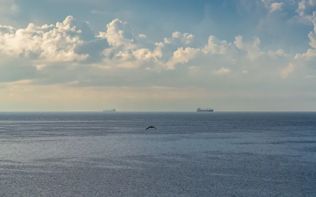 Sabotaż czy usterka?  Fińska policja bada czy zagraniczne statki miały związek z awarią kabla EstLink 2