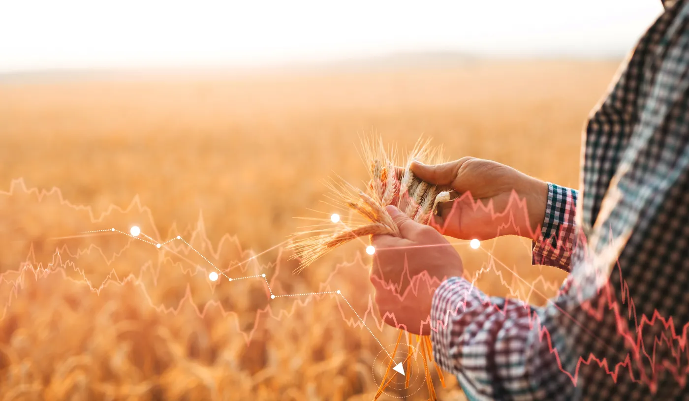 Popularne pestycydy mogą szkodzić męskiej płodności – alarmujące wyniki badań