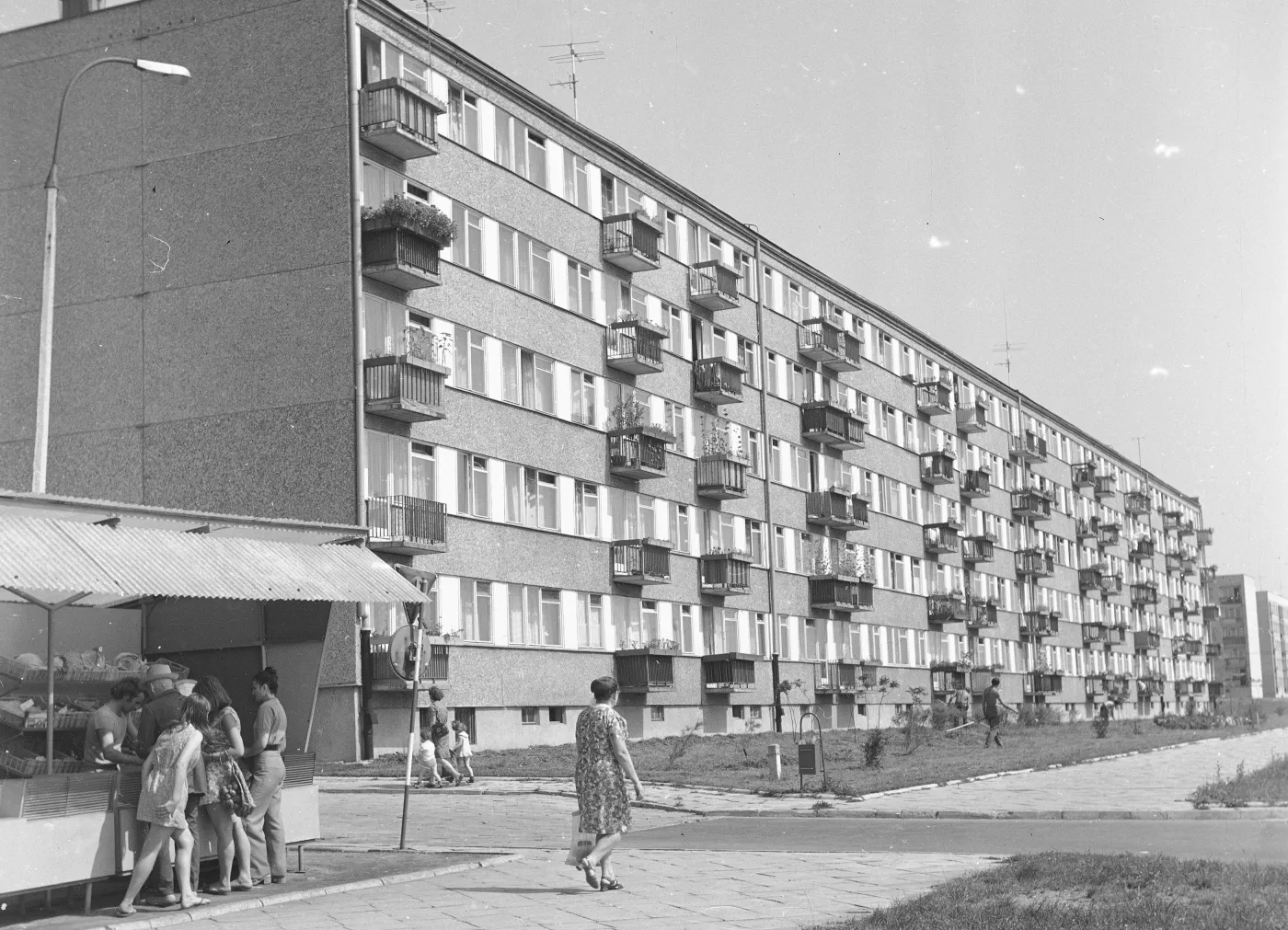 CPN, bumelant, polski cwaniak. QUIZ o nazwach z czasów PRL. Odpowiesz na wszystkie 10 pytań?