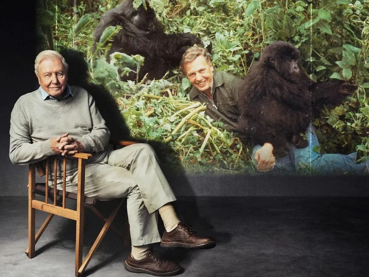 Sir David Attenborough
