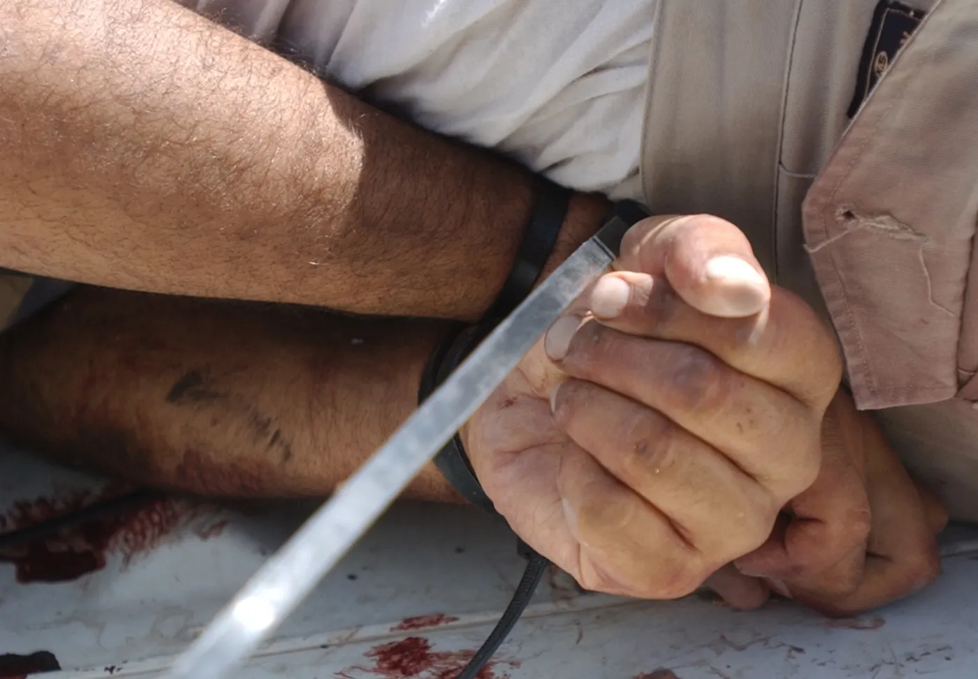The wrists of one of the twelve tortured bodies are seen bound with plastic tie-wraps as the bodies are brought to the Yarmouk hospital, Monday, Aug. 1, 2005, in Baghdad, Iraq. Iraqi police discovered the tortured bodies of 12 men in an open field of garbage in the Um Al-Maalif area of south Baghdad. Relatives of the victims say that insurgents dressed as police came yesterday and took the twelve men away. AP PhotoMohammed Uraibi
