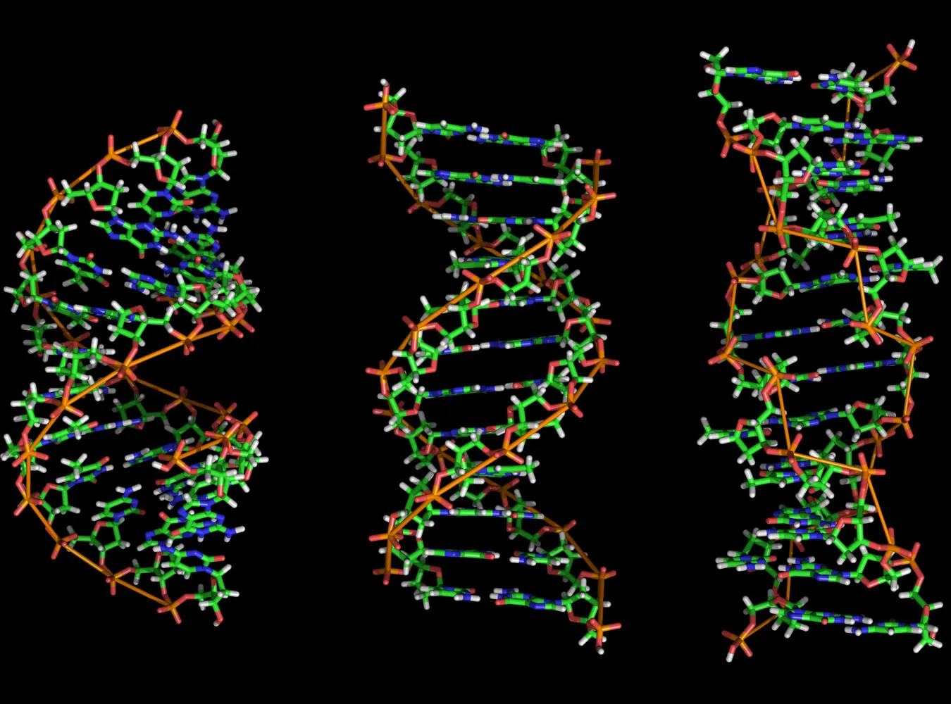 Już za kilka lat każdy pozna swoje DNA
