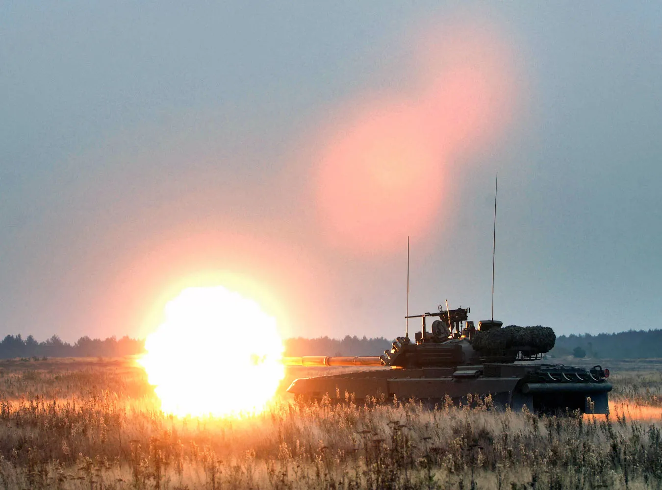 Grzybiarze sparaliżowali polską armię