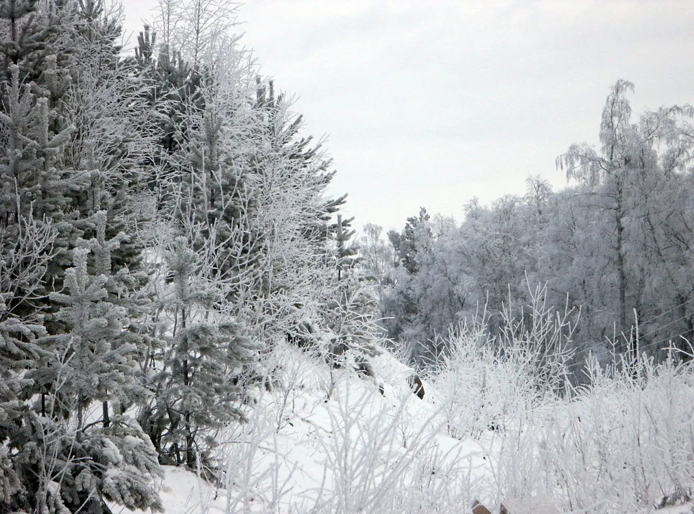 Mieszkanka syberii śpi na mrozie