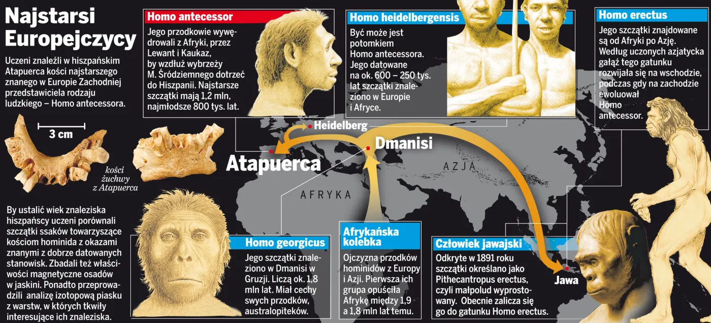 Europejczycy byli kanibalami