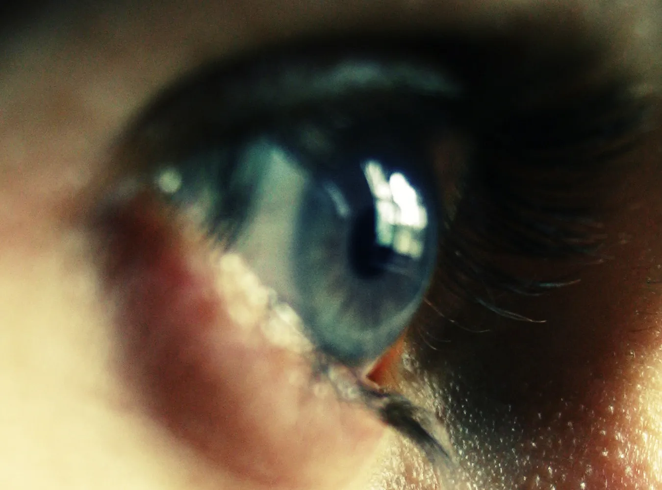 Niewidomy pokonał labirynt