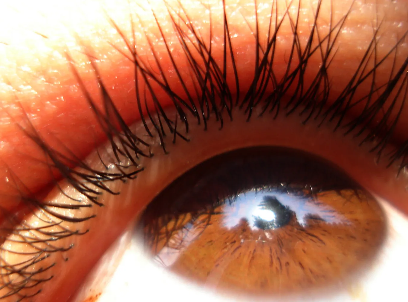 "Tak" dla leku na porost rzęs