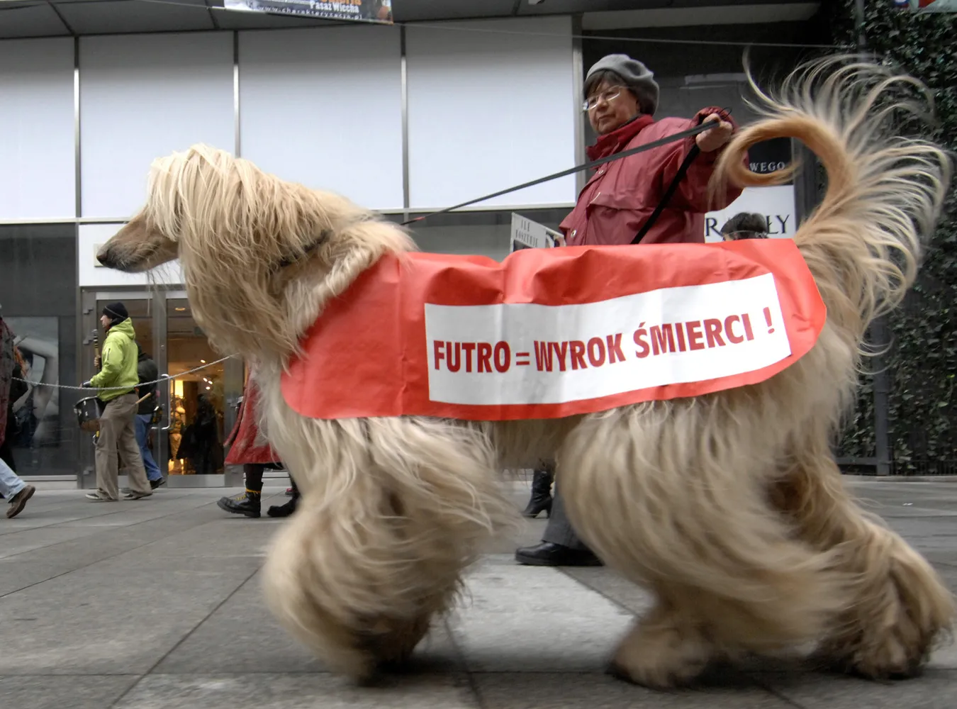 Trzy dni walki z zabijaniem zwierząt