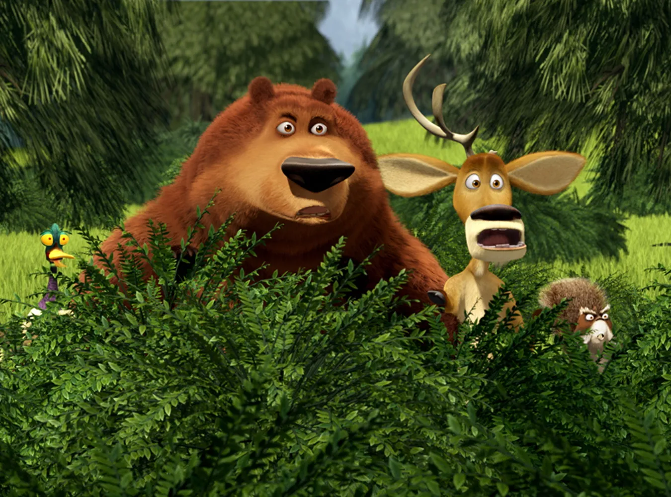 Domowe kontra dzikie