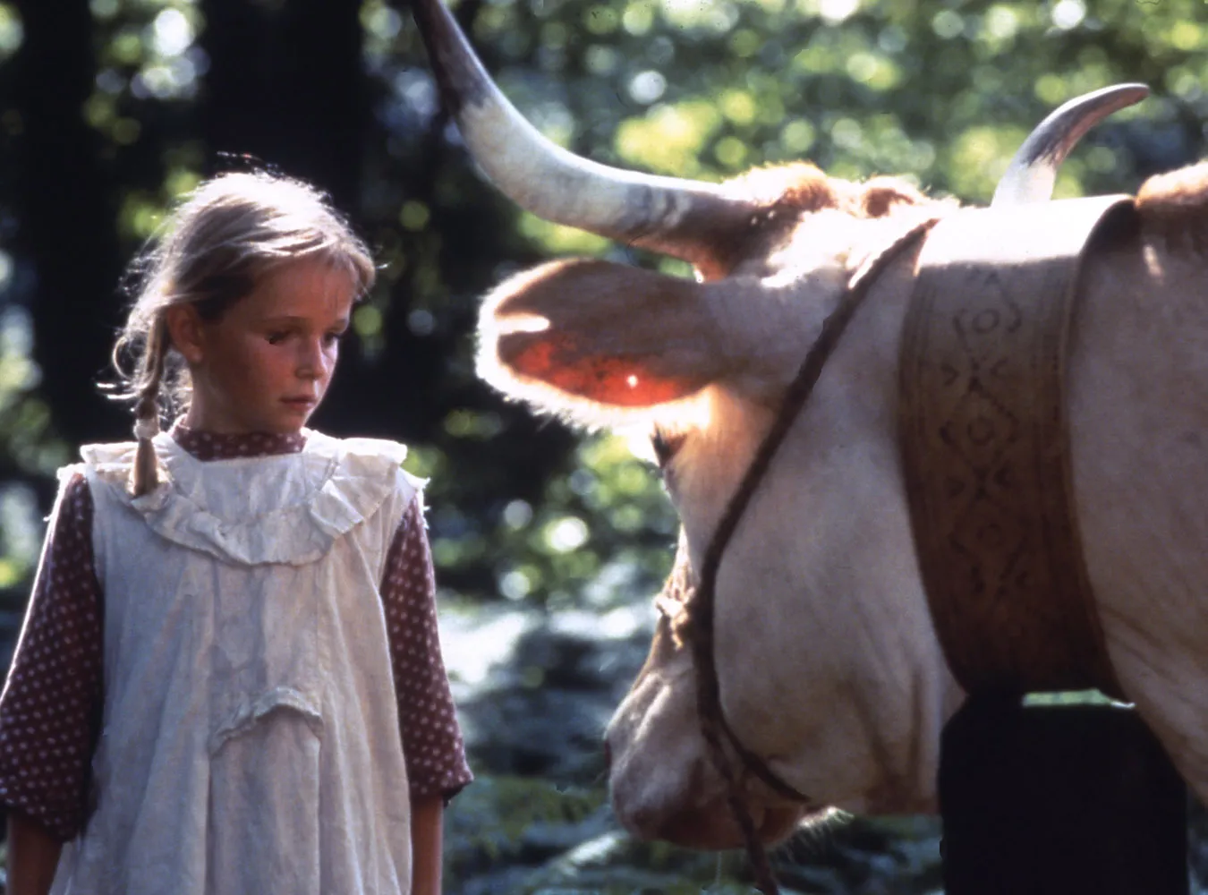 ''Krowy''. Miłość i wojny w czasach sielanki