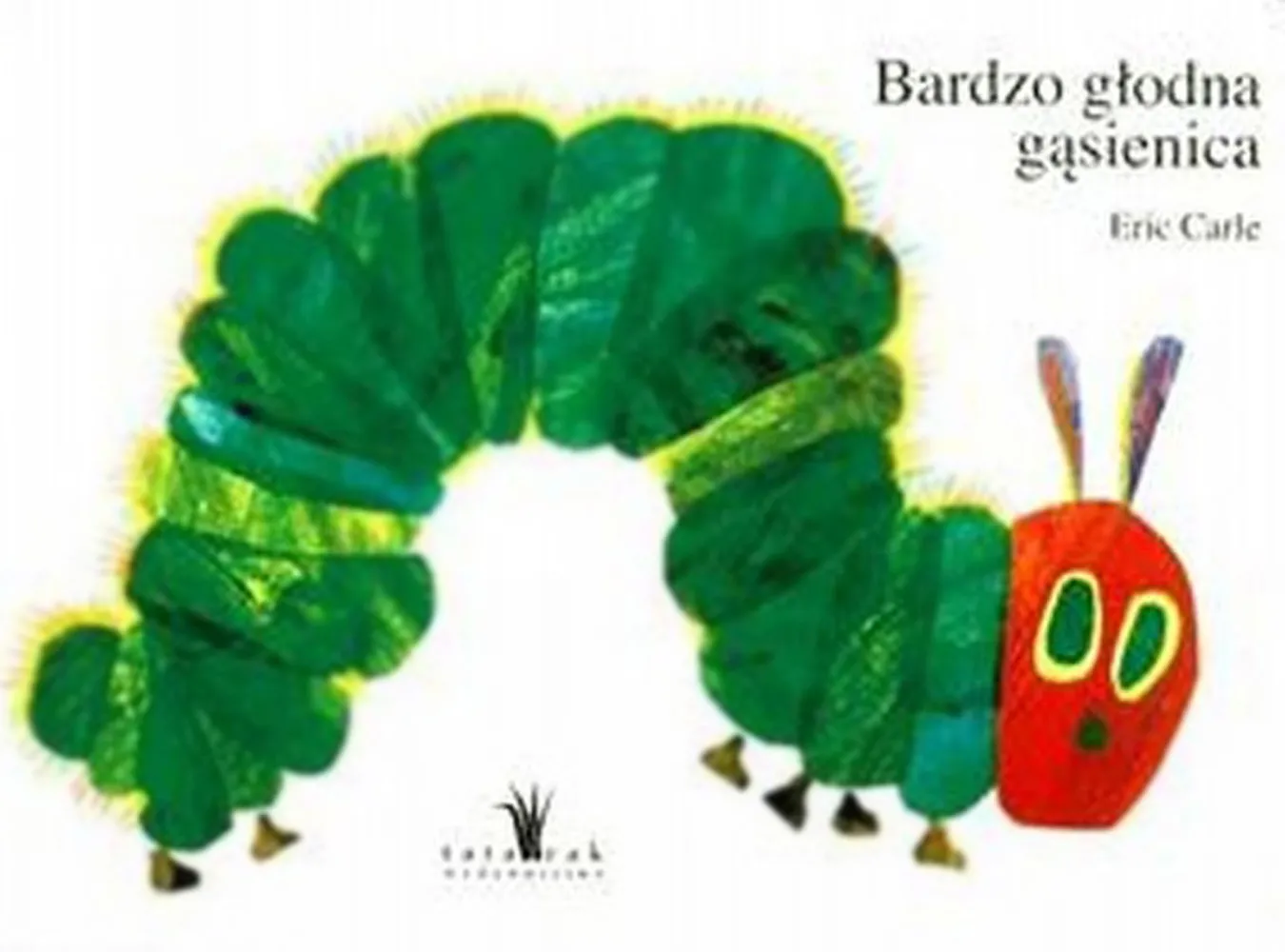 Wygłodniała gąsiennica obchodzi urodziny