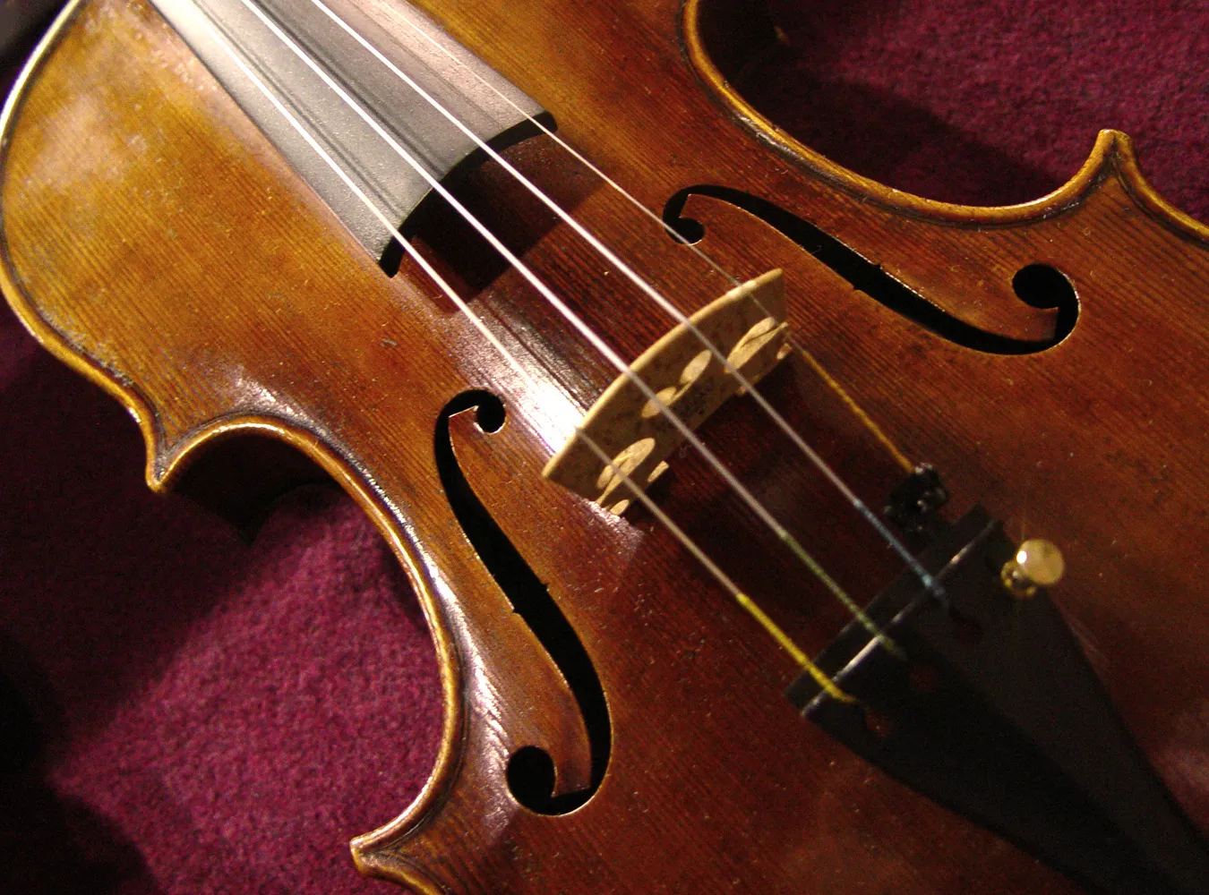 Wzięli znanego skrzypka za przemytnika