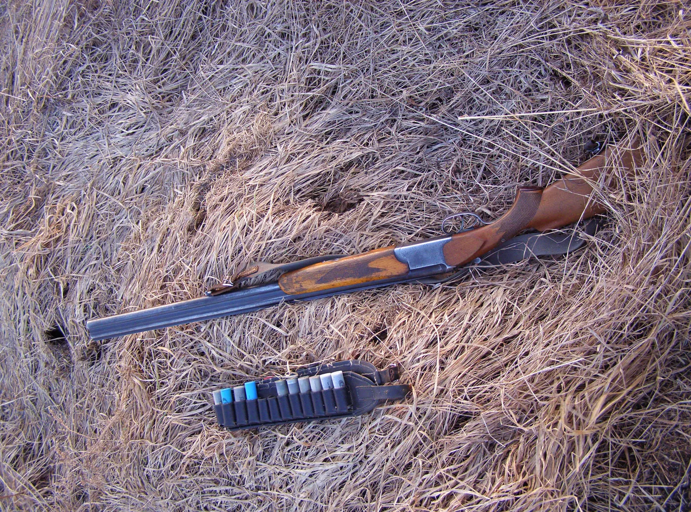 Pies postrzelił pana z dwururki