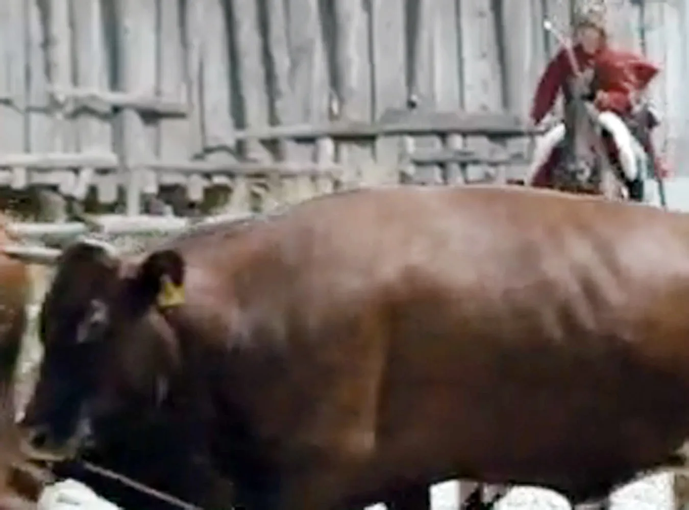 Janosik brał... dopłaty z Unii?