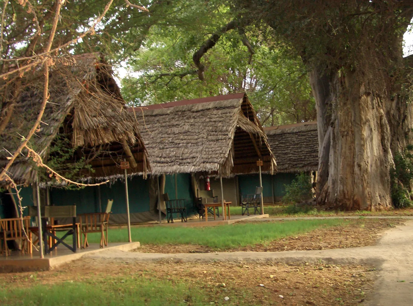 fr_tarangire_safari_246500a_982176.jpg