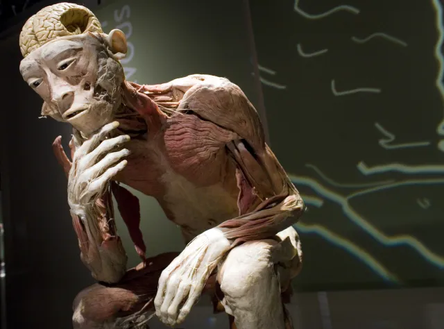 Rada Reklamy: Martwe ciała są nieetyczne