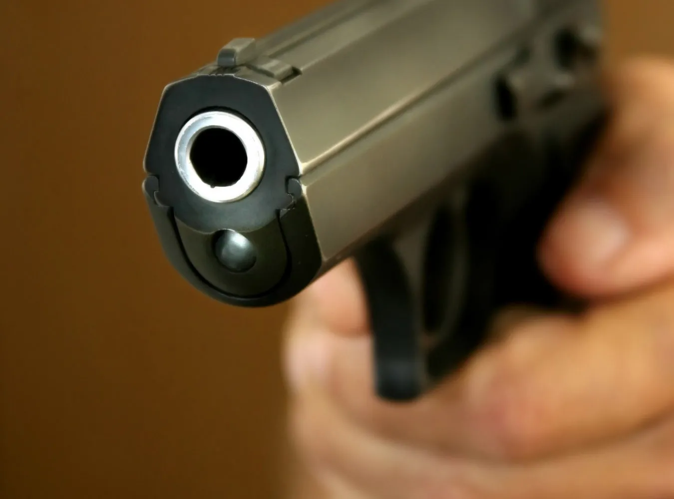 Polacy nie chcą broni od posłów