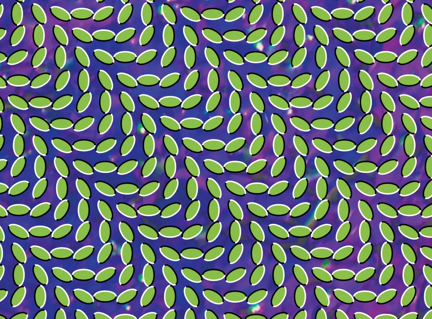 Animal Colective  quot;Merriweather Post Pavilion quot;