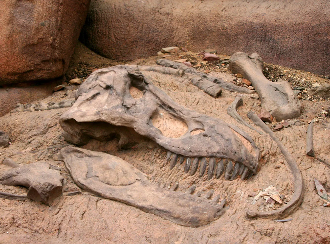 Karłowate dinozaury pochodzą z Europy